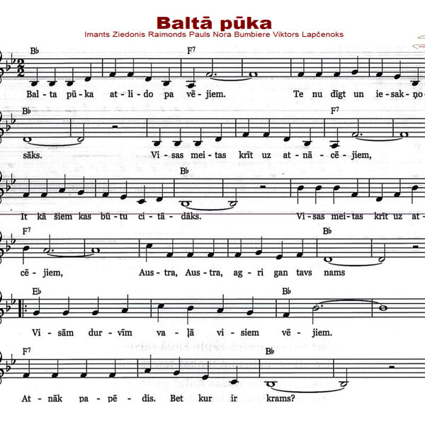 Baltā pūka