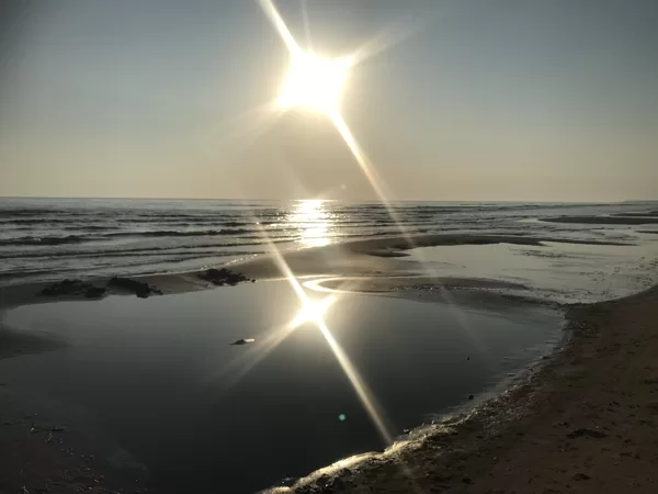Rojas atVasara septembrī